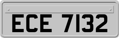 ECE7132