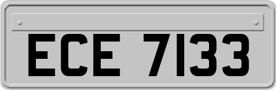ECE7133