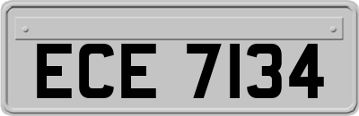 ECE7134