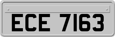 ECE7163