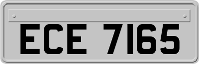 ECE7165