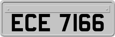 ECE7166