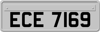ECE7169
