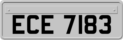 ECE7183