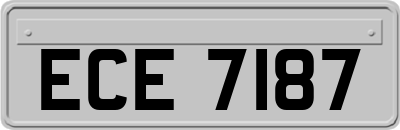 ECE7187