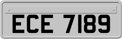 ECE7189