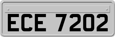 ECE7202