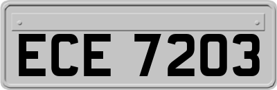 ECE7203