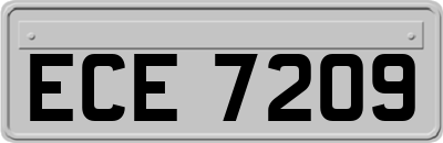 ECE7209