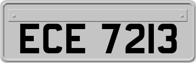 ECE7213