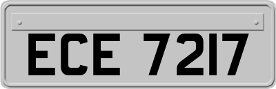 ECE7217