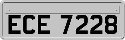 ECE7228