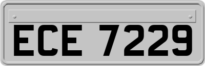 ECE7229