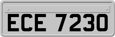 ECE7230