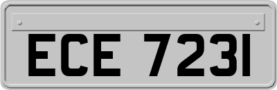 ECE7231