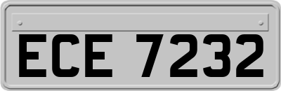 ECE7232