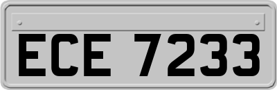 ECE7233