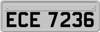ECE7236