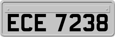 ECE7238