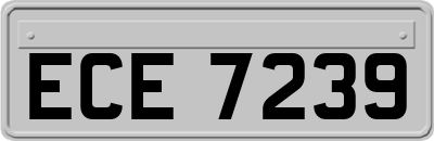 ECE7239