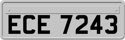 ECE7243