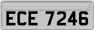 ECE7246