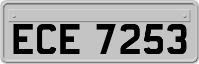 ECE7253