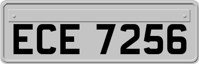 ECE7256