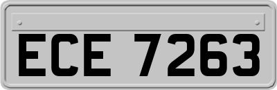 ECE7263