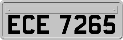 ECE7265