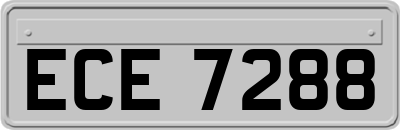 ECE7288