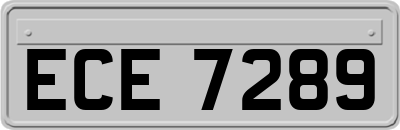 ECE7289