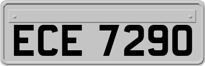 ECE7290
