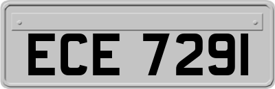 ECE7291
