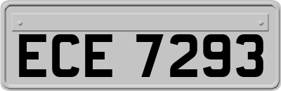 ECE7293