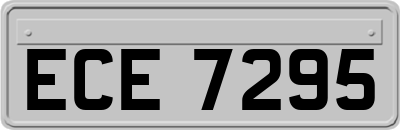 ECE7295