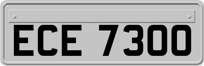 ECE7300