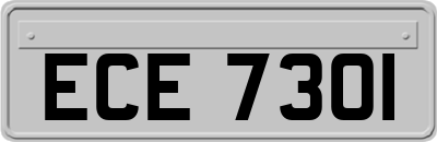 ECE7301