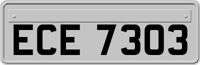ECE7303