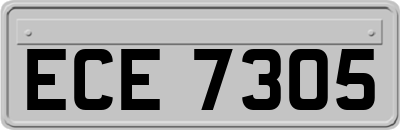ECE7305