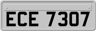 ECE7307