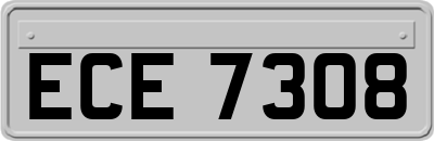 ECE7308