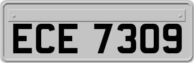 ECE7309