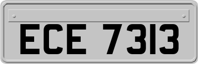 ECE7313