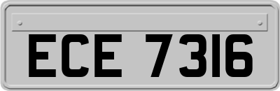 ECE7316