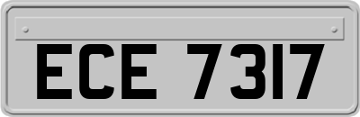 ECE7317