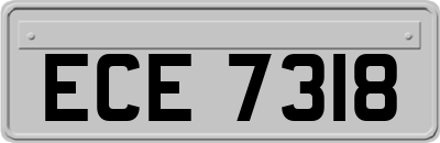 ECE7318