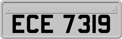 ECE7319