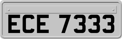 ECE7333
