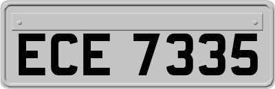 ECE7335